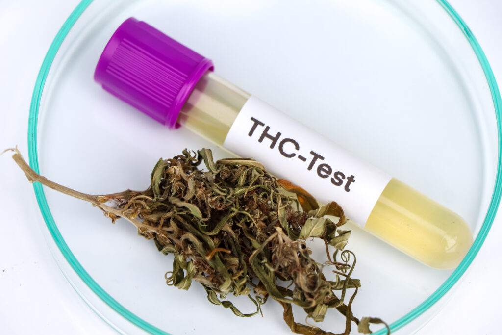 marijuana ,Tetrahydrocannabinol, thc