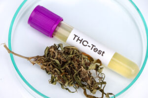 marijuana ,Tetrahydrocannabinol, thc