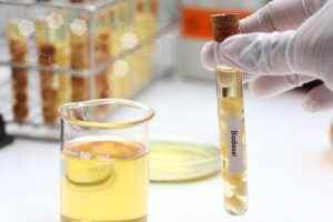 Biodiesel,chemical,oil,laboratory experiment
