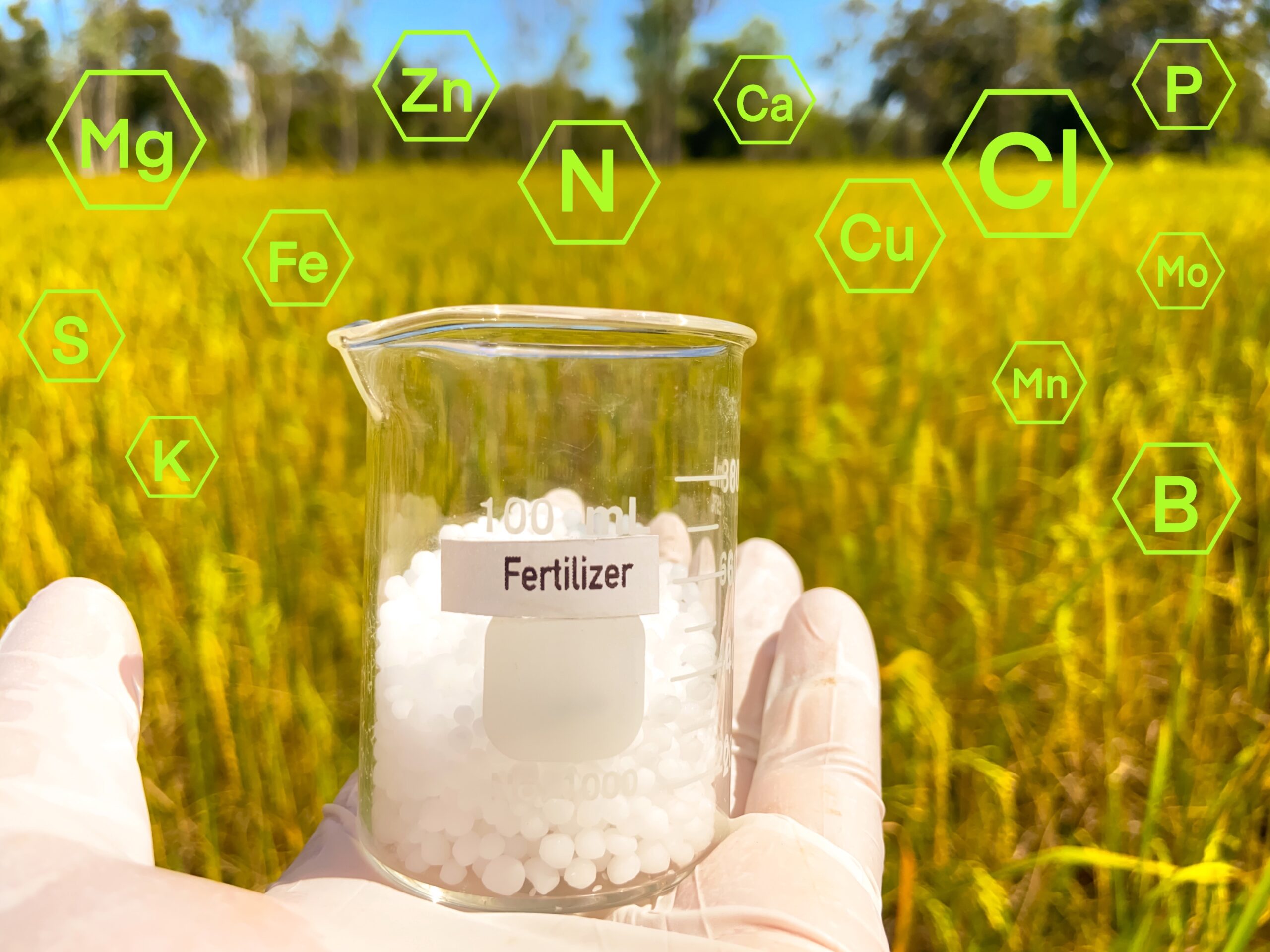 Fertilizer